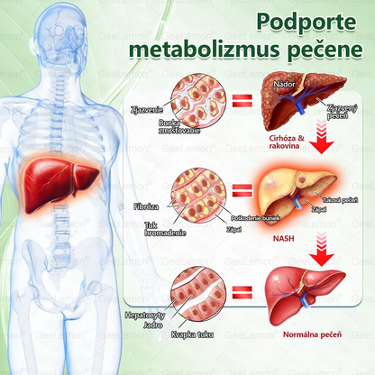 💕👩‍⚕️👩‍⚕️Odporúčané UNB · 👩‍⚕️Oficiálny obchod Dr. Max | 🎁 𝐆𝐞𝑒𝐿𝑒𝐦𝐨𝐧® Glumasetide 8 v 1 Nano mikrotŕňový náplasť – Len raz denne ✅ Viditeľné zmeny za 7 dní na obezitu, ochabnutú pokožku a zdravie